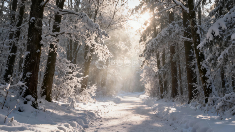 高清大图下载【趣麦麦图】雪景林间小路冬日风光