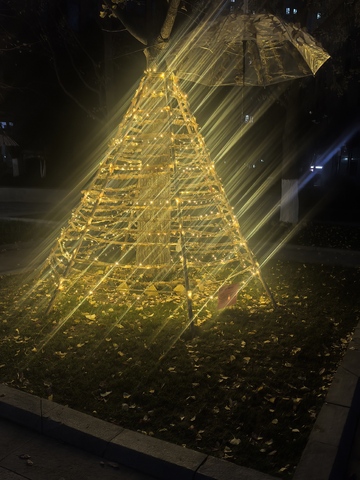 夜晚灯光圣诞树装饰场景