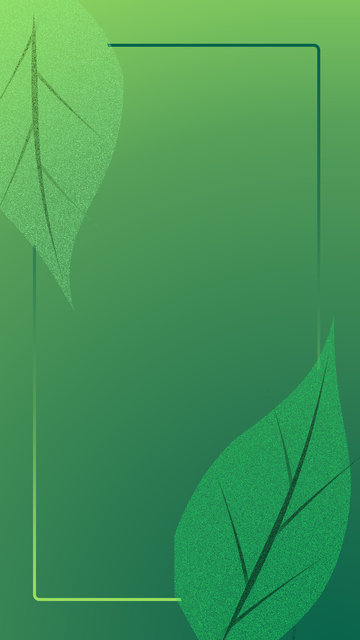 绿色叶子简约框架背景
