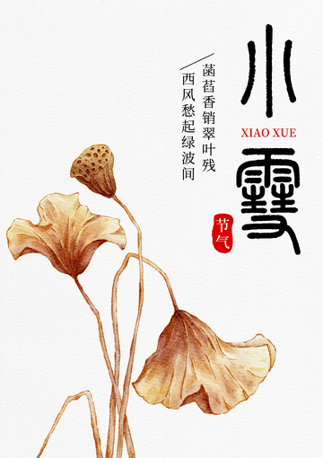 残荷插画节气海报