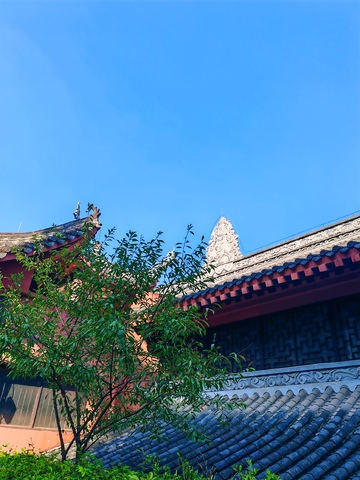 古典建筑蓝天绿树