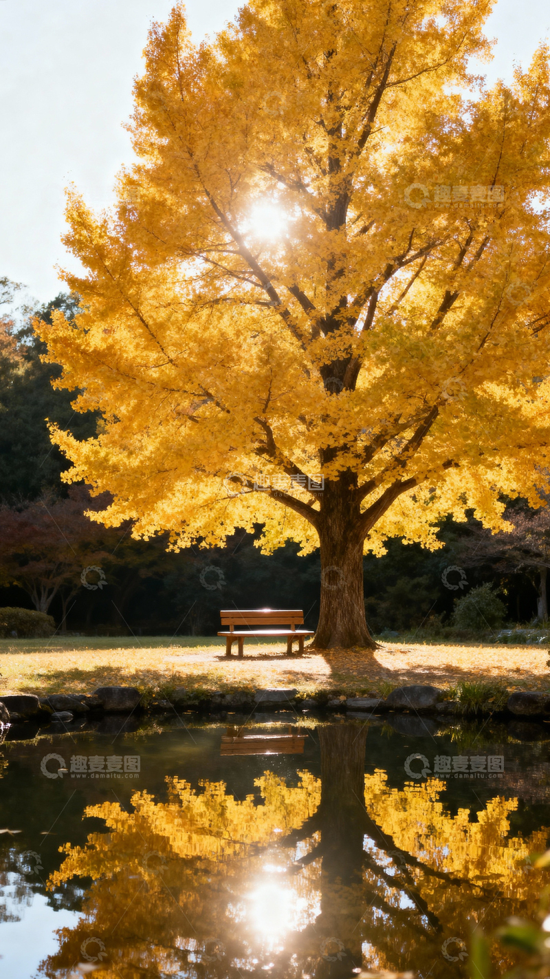高清大图下载【趣麦麦图】银杏叶银杏树秋天_竖屏026