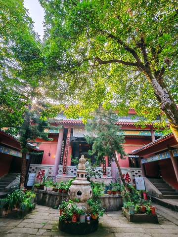 古刹静谧庭院风景摄影