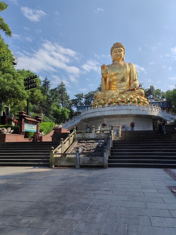 金色大佛庄严佛像风景照