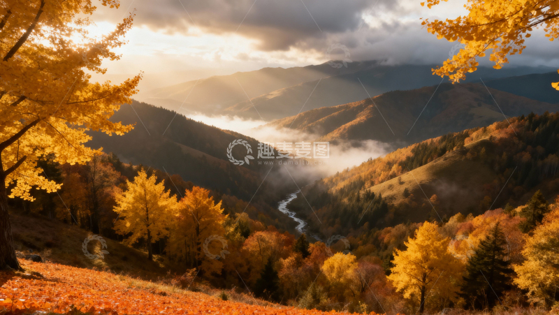 高清大图下载【趣麦麦图】银杏叶银杏树秋天031