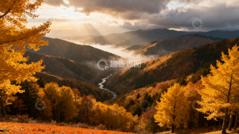 高清大图下载【趣麦麦图】银杏叶银杏树秋天046