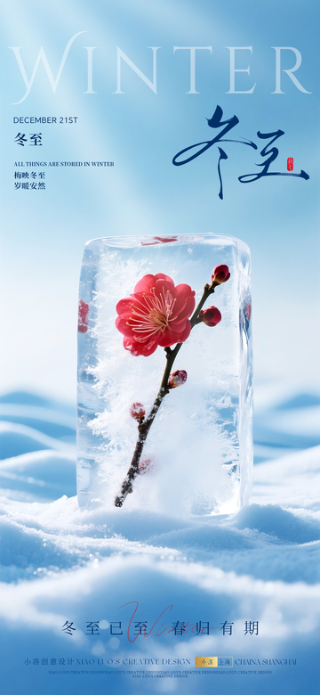 冬至冰封梅花海报