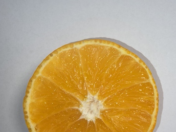 新鲜橙子切片果冻橙