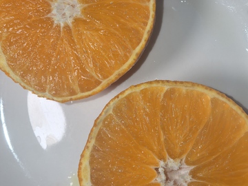橙子切片特写1