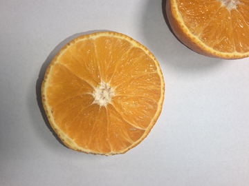 新鲜橙子切片特写摄影