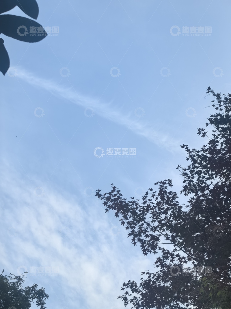 高清大图下载【趣麦麦图】蓝天绿树自然风景