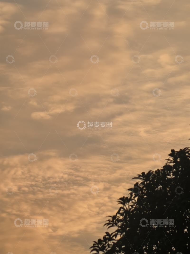 高清大图下载【趣麦麦图】黄昏天空树影剪影