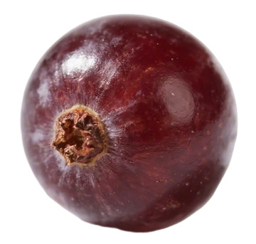 紫红色水果特写摄影