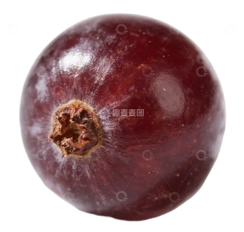 高清大图下载【趣麦麦图】紫红色水果特写摄影