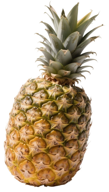 新鲜菠萝水果特写摄影