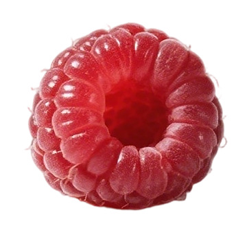 鲜艳红树莓果实特写摄影图