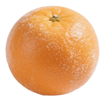 新鲜橙子特写水果摄影