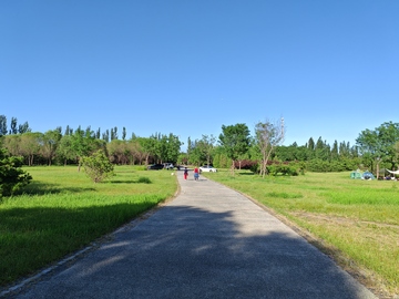 乡村小路风光摄影