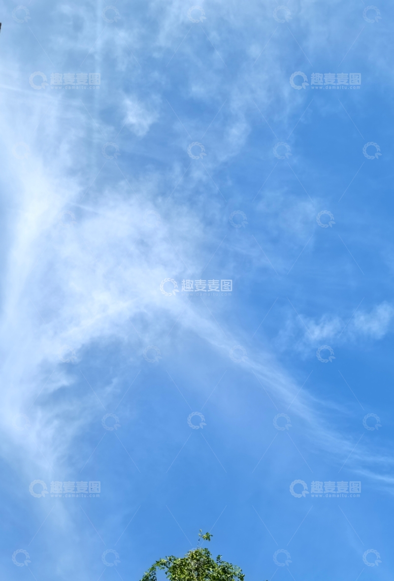 高清大图下载【趣麦麦图】蓝天白云树梢风景