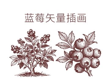 复古插画蓝莓植物图样