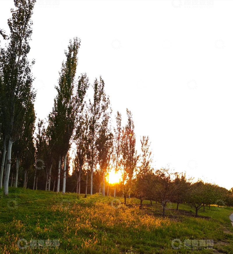 高清大图下载【趣麦麦图】夕照树林田野风光11