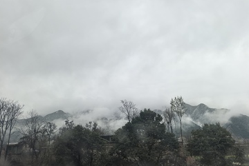 云雾山峦树木风景图