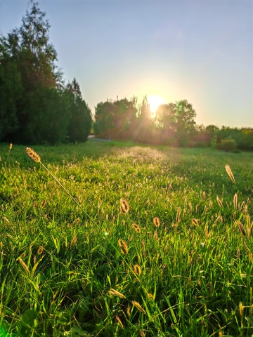 田园日出风光摄影图片