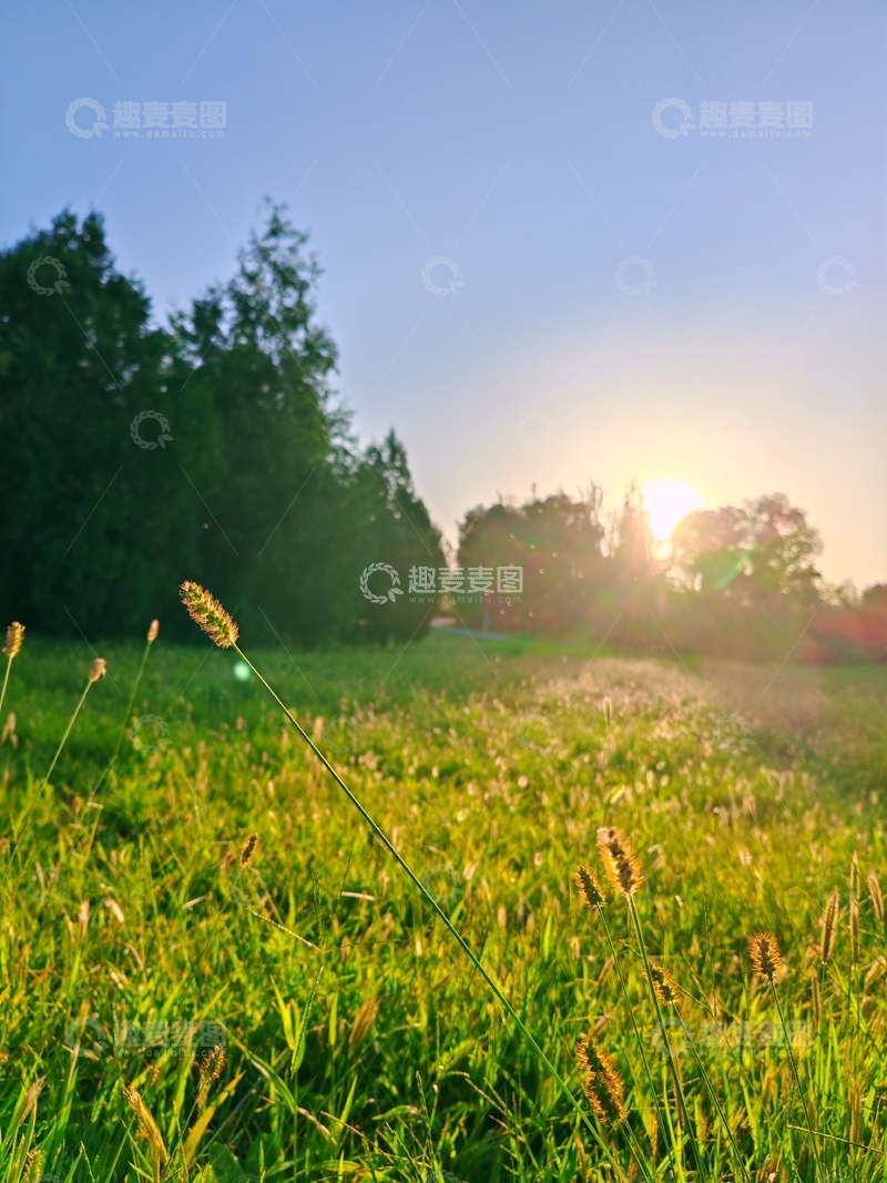 高清大图下载【趣麦麦图】晨光照耀草地美景