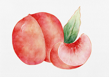 水彩水蜜桃桃子水果插画设计素材