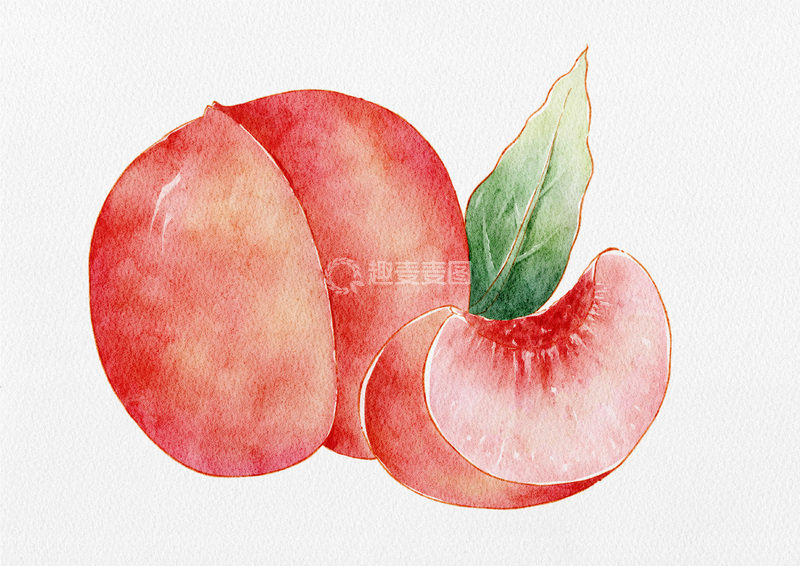 源文件下载【趣麦麦图】水彩水蜜桃桃子水果插画设计素材