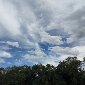 蓝天白云树木自然风景