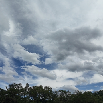 蓝天白云树木风景图