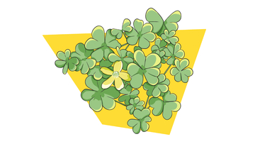 卡通风绿植花卉图案设计素材