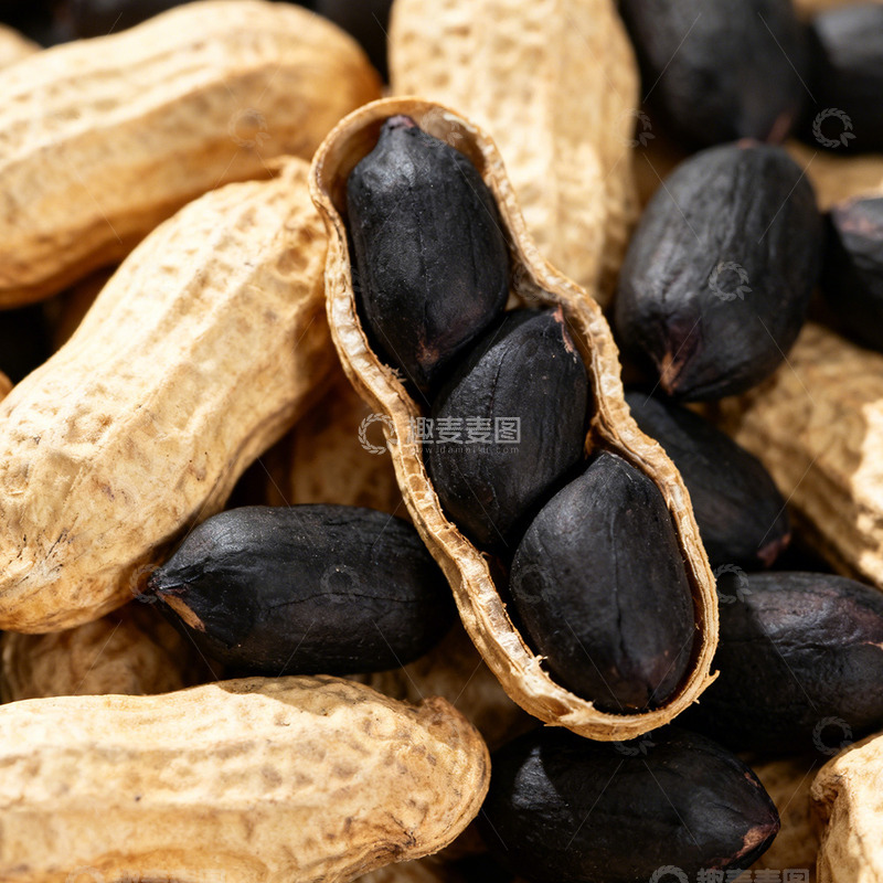 高清大图下载【趣麦麦图】花生特写黑花生素材