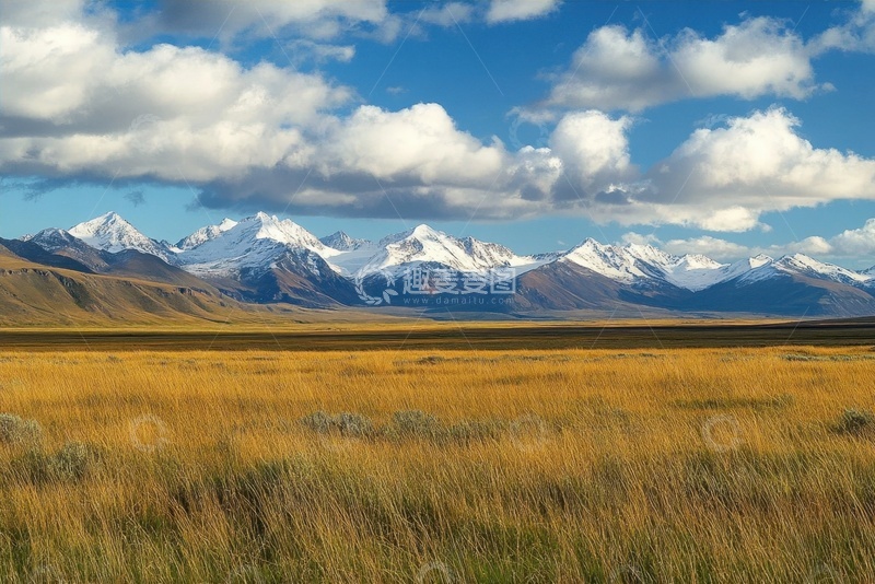高清大图下载【趣麦麦图】秋天的草原摄影