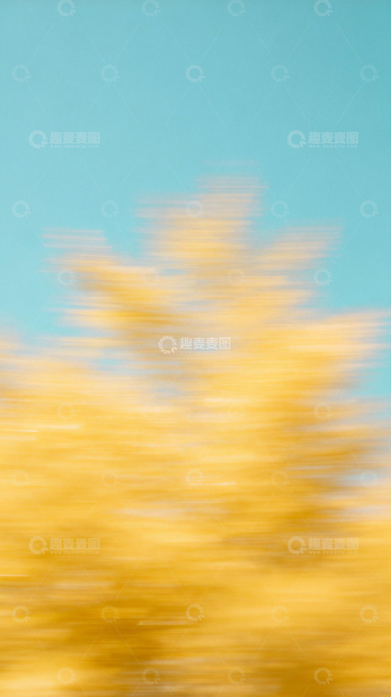 高清大图下载【趣麦麦图】黄色朦胧春日花朵