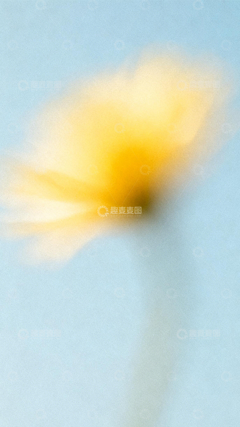 高清大图下载【趣麦麦图】黄蓝朦胧春日花朵2