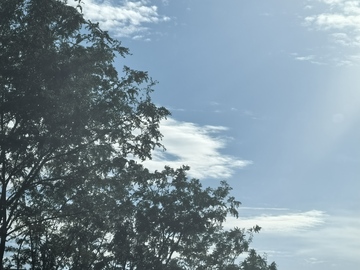 蓝天白云树影风景照
