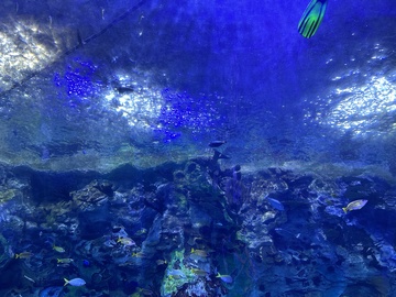 水族馆海底世界景观