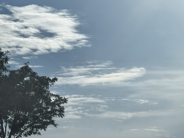 蓝天白云树影风景照