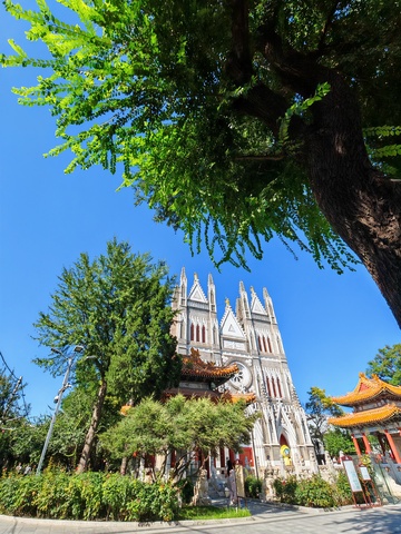 哥特教堂绿树环绕风景照