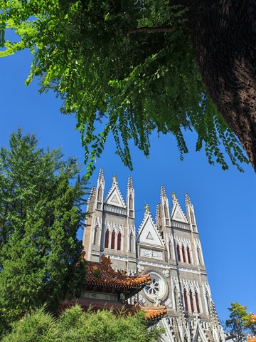 哥特教堂绿树蓝天美景