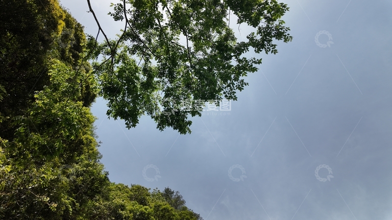 高清大图下载【趣麦麦图】山间绿叶映蓝天