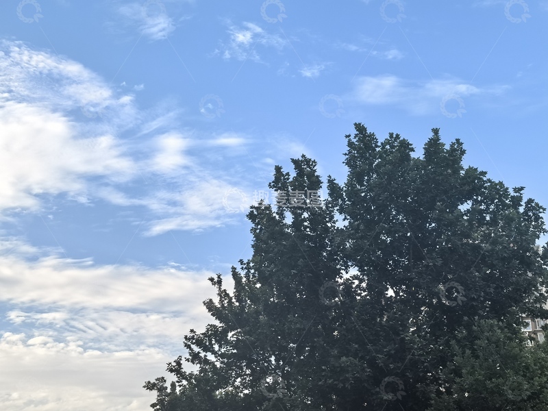 高清大图下载【趣麦麦图】蓝天白云大树风景照