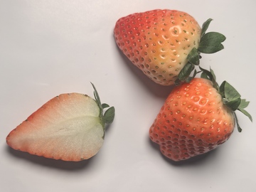 新鲜草莓特写摄影素材