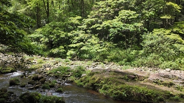 山林溪流自然风光摄影图