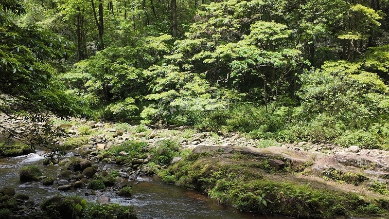高清大图下载【趣麦麦图】-山林溪流自然风光摄影图