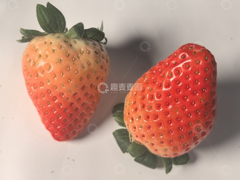 高清大图下载【趣麦麦图】新鲜草莓特写水果摄影
