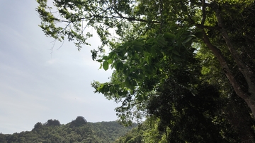 山林景色自然风光摄影图片