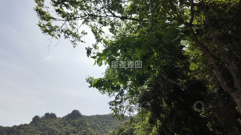 高清大图下载【趣麦麦图】山林景色自然风光摄影图片